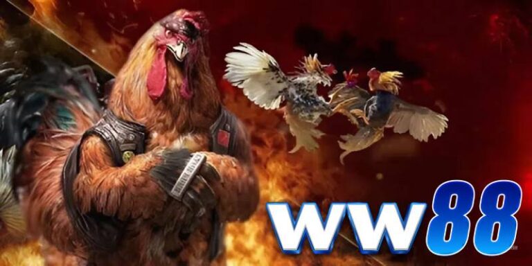 Đá Gà Ww88 – Sảnh Cược Thật, Nổ Kèo Lớn, Chơi Thả Ga