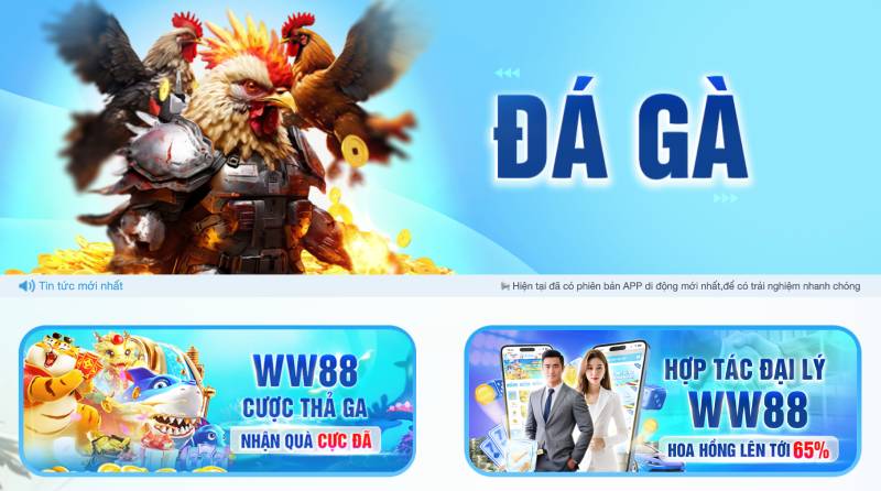 Đá gà WW88 là gì?